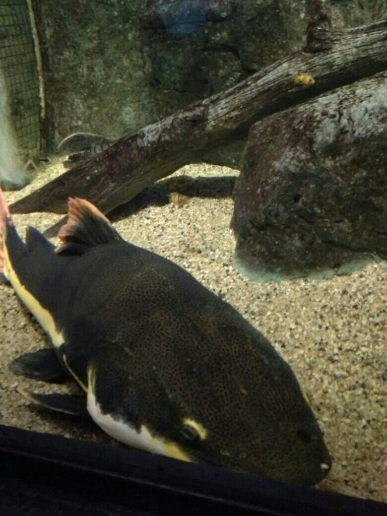 Юлия Арзамаскина | Ульяновск