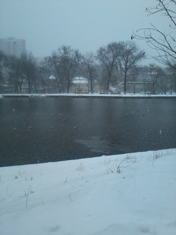 Олег Дроздов | Одесса