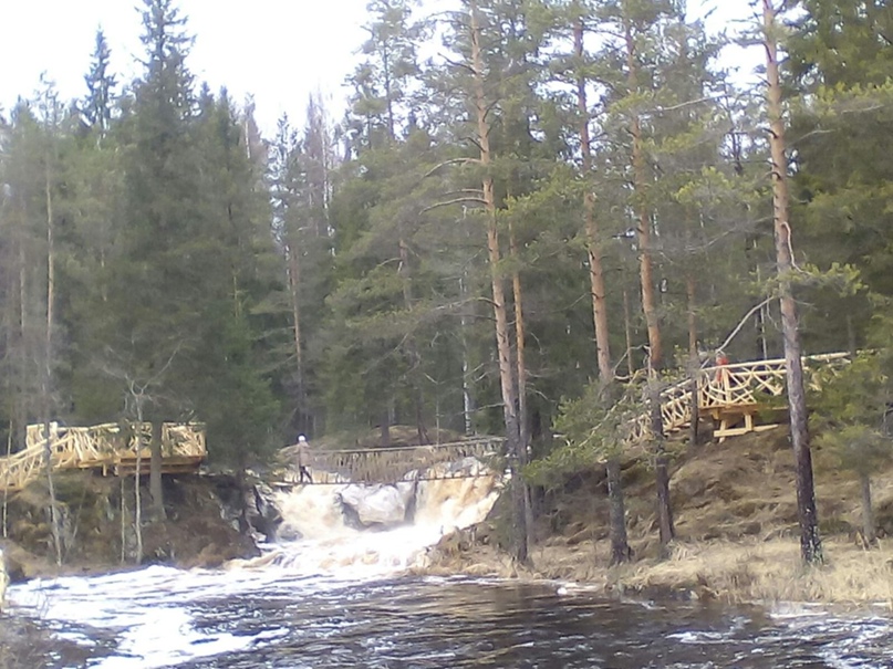 Татьяна Хазанова Павловна | Санкт-Петербург
