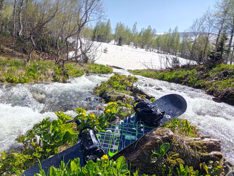 Алексей Белецкий | Томск