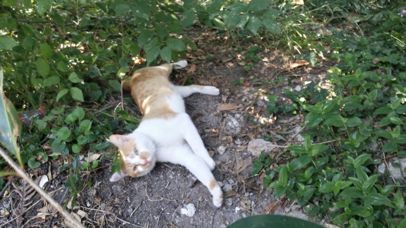 Александр Анфилов | Пермь