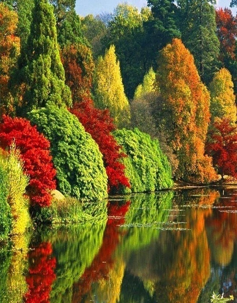 Гузель Сабитова | Уфа