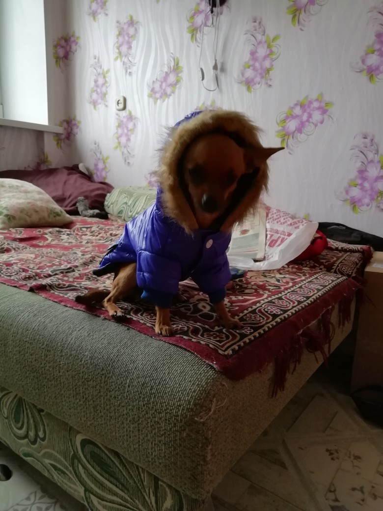 Лариса Балуева | Пермь