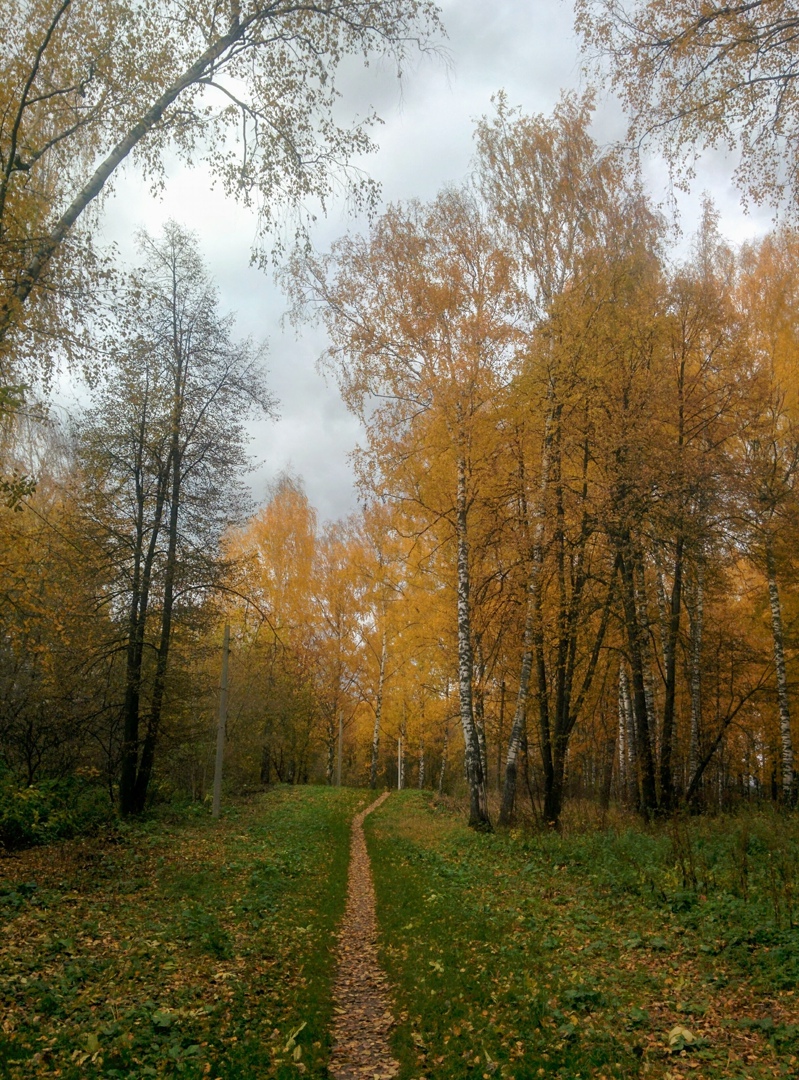 Мария Лебская | Pyongyang