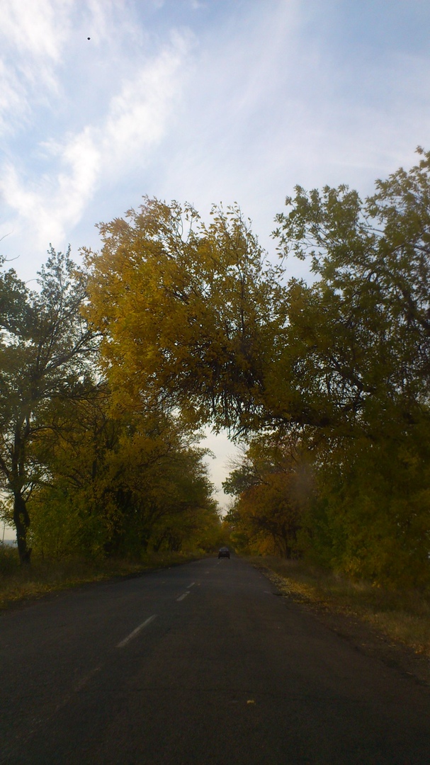 Дмитрий Щербинин | Днепр (Днепропетровск)