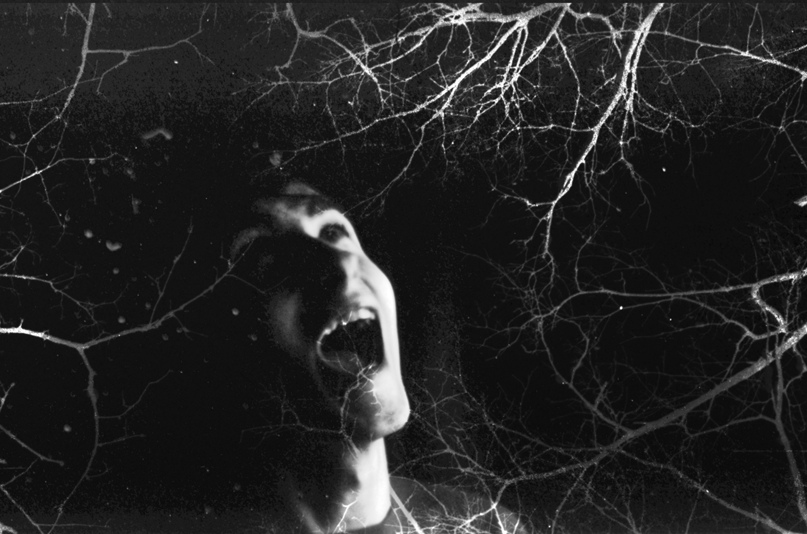 Владимир Поповичев | Санкт-Петербург