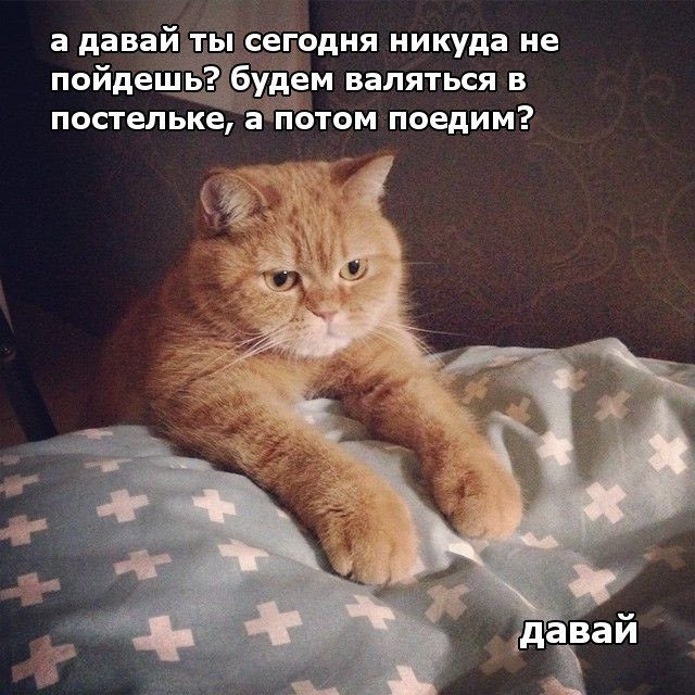 Михаил Соловьев | Мытищи