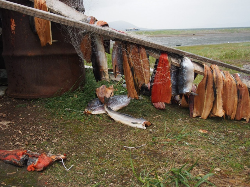 Ксения Шульц | Санкт-Петербург