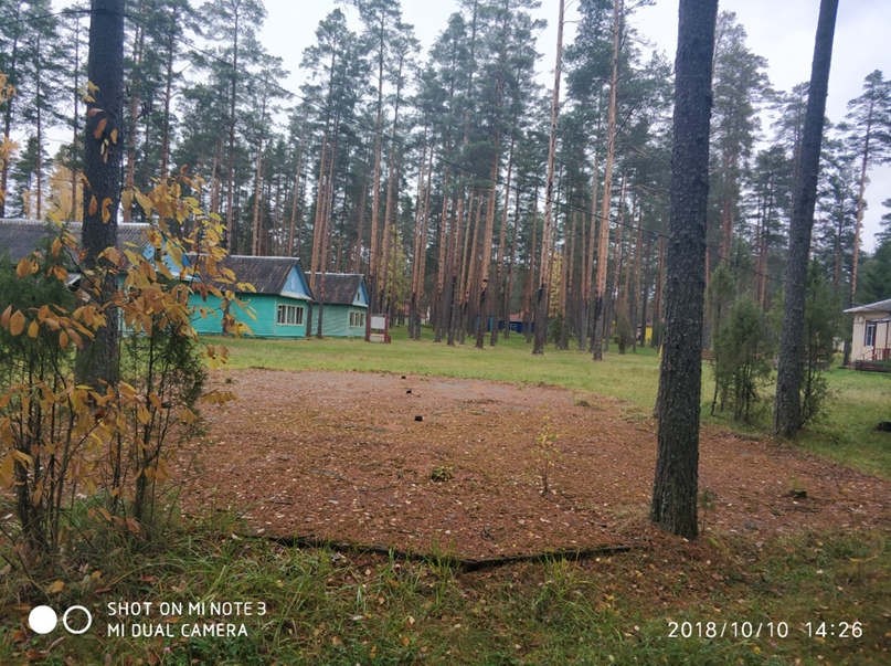 Алексей Рожков | Санкт-Петербург