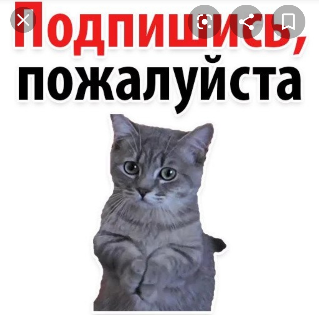 Подпишись на меня
