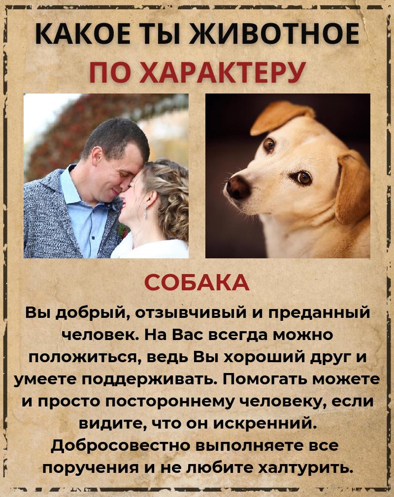 Елена Помазан | Ярославль