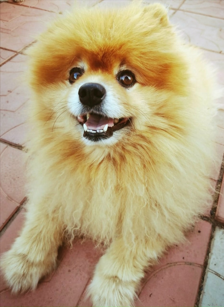 Нина Ефимова | Санкт-Петербург