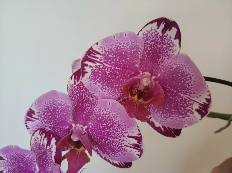 Наталья Антипова | Новороссийск