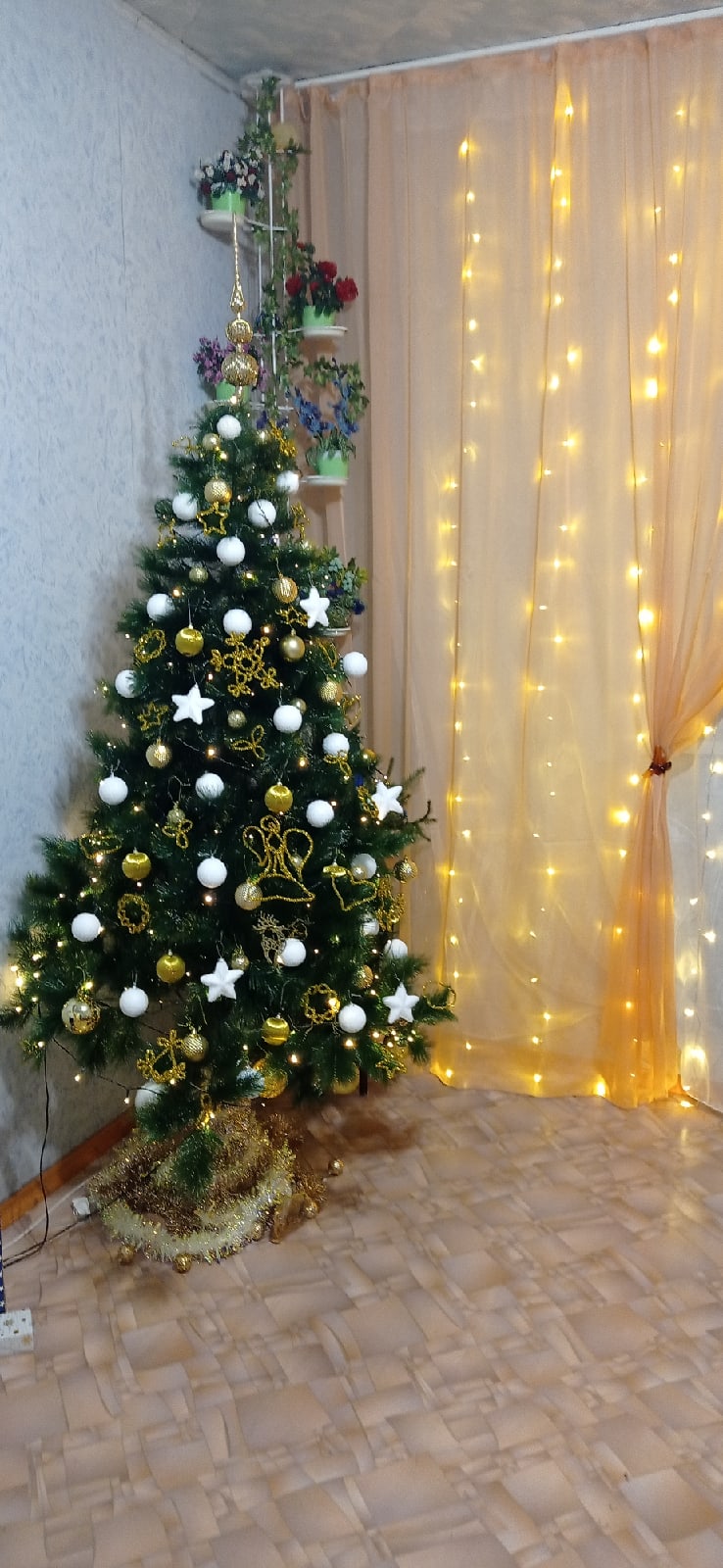 Дмитрий Бессонов | Кемерово