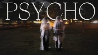 Red Velvet 레드벨벳 - Psycho M\V cover