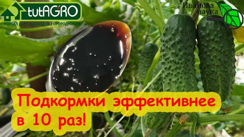 ВСЕ ПОДКОРМКИ ЭФФЕКТИВНЕЕ СРАЗУ В 10 РАЗ Всего 1 ложка