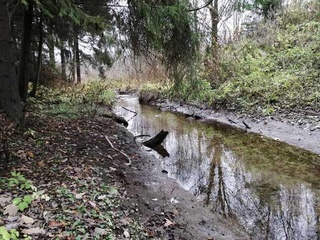 Река ржавка. Река ржавка. Река ржавка. Река ржавка. Коллектор р.