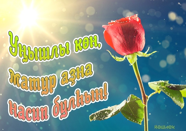 открытки х йерле ирт погоне молодостью, братья