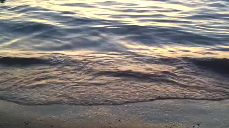 Ocean