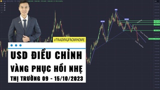 USD iu chnh - Gold tng nh sau NFP - Th trng tun 41 - 2023 (09 - 15/10)