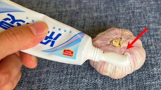 把牙膏塗抹到大蒜上，沒想到作用這麼厲害，家家戶戶都用得上，省錢又