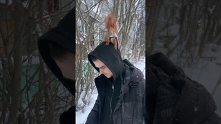 Рич  одомашнился настолько, что на улице теперь очень страшно и холодно  #squirrel