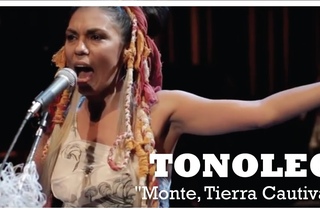 TONOLEC Acstico  Monte, Tierra Cautiva DVD