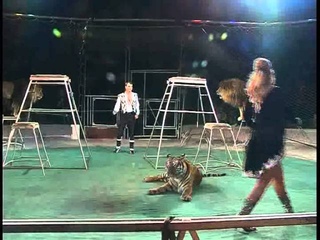 Kozyrevs lions and tigers