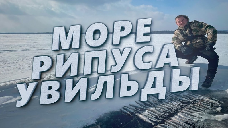 ПОЙМАЛ МОРЕ РИПУСА ЗА ДЕНЬ Рыбалка на