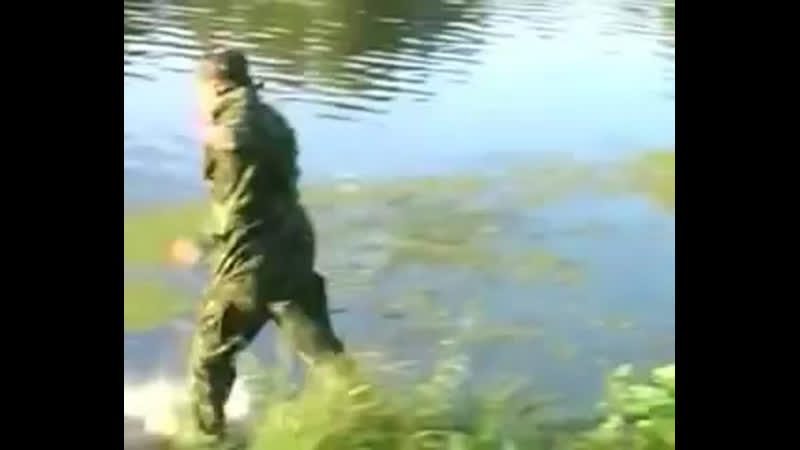Смотреть