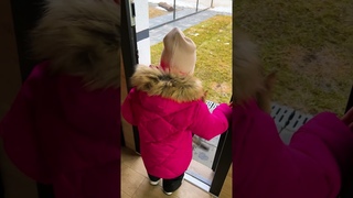Чаузи Малой умывает рысёнка Локи