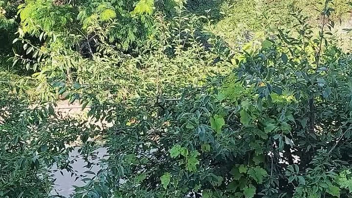 в гостинице