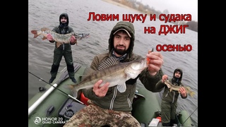 поймал трофея, ловим щуку и судака на джиг осеню