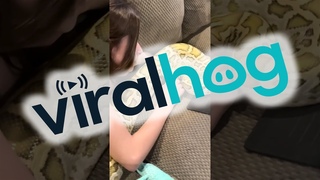 Girl Is a Snake Whisperer || ViralHog